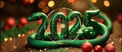 Поздравление с Новым годом и Рождеством 2025!
